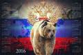 Календарь настенный - Русский медведь 