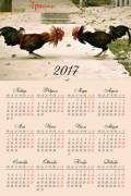 Настенный календарь на 2017 год - Петушиные бои 