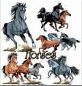 Лошади  - Vector Stock 