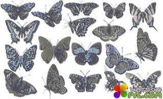 Кисти для фотошопа - Бабочки