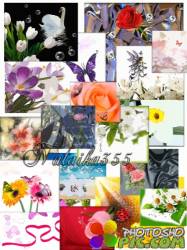 Клипарт - Рисованные фоны с цветами