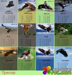 Календарь на 2013 год помесячный - Орлы 