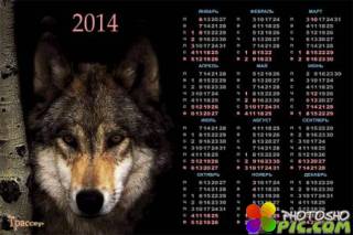 Календарь на 2014 год  -  Волк на охоте 