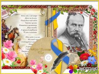 Украинская обложка на диск Тарас Шевченко 200 г
