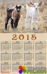 Календарь на 2015 год - Коза (овца) символ 2015 года 