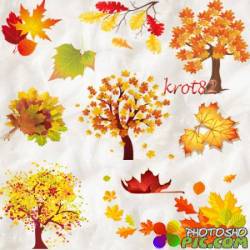 Клипарт для фотошопа – Осенние деревья и листья  