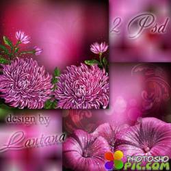 Многослойные фоны - Пурпурные цветы величием чаруют небеса