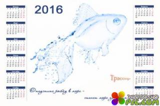 Календарь на 2016 год - Отпустите рыбку в море 