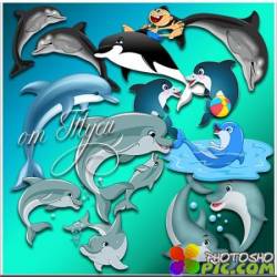 Дельфины - Клипарт