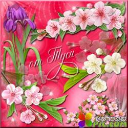 Клипарт - Весенние цветы 